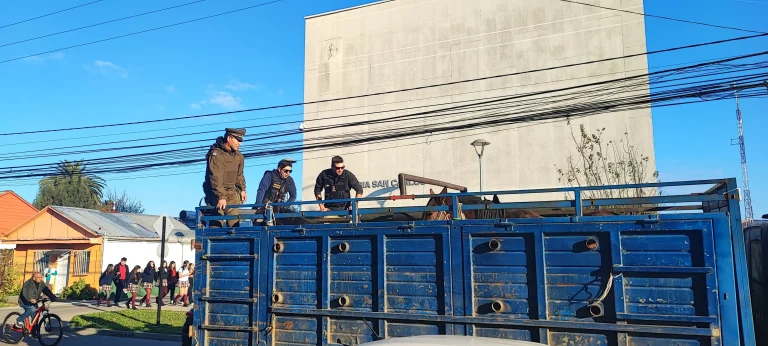 Patrullaje preventivo en sector rural de San Carlos permitió la detención de cuatro personas por abigeato.