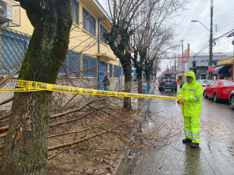 Municipalidad de San Carlos activa equipos en terreno por lluvias