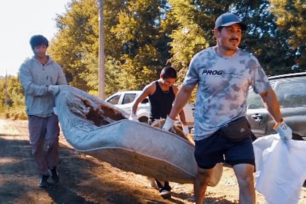 Mirador Flor de Quihua es recuperado junto a vecinos tras jornada de voluntariado impulsada por el municipio