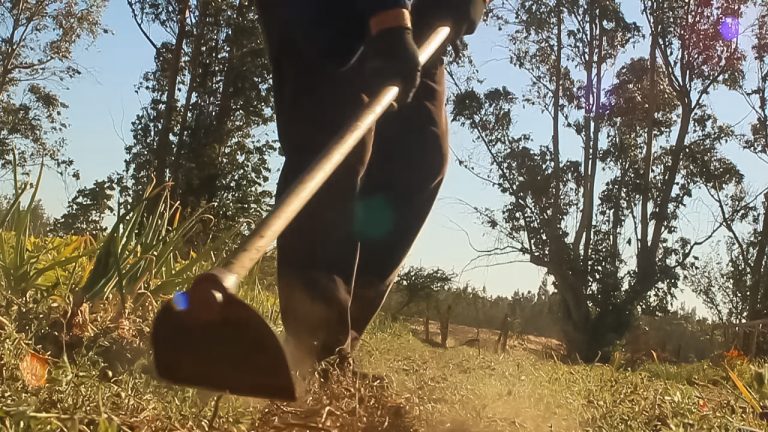 Alcalde de San Carlos anuncia apoyo a agricultores locales tras decisión de Iansa de dejar de comprar remolacha
