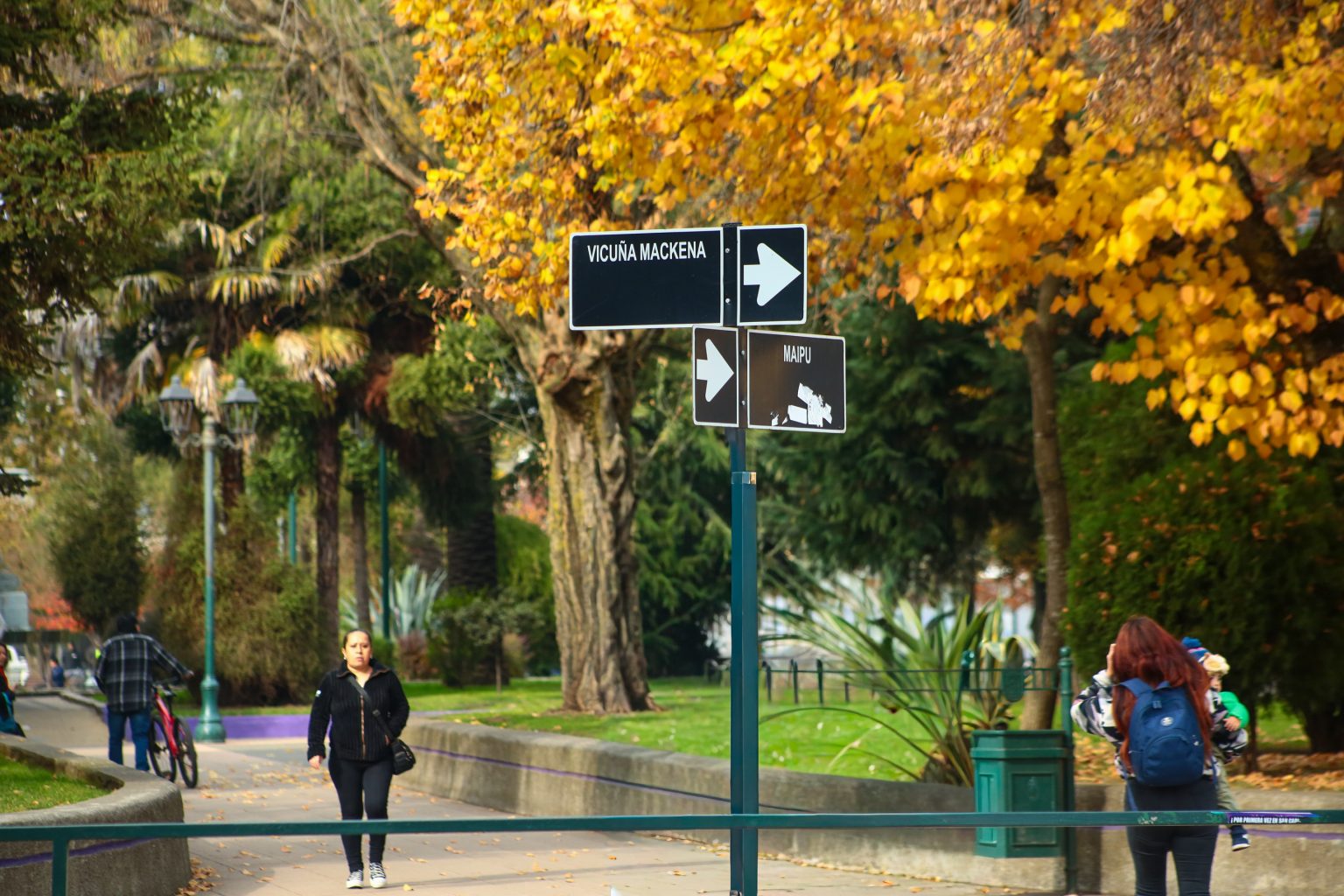 Una deuda histórica con la seguridad vial: San Carlos adjudica esperada licitación para renovar señalética y demarcaciones en la comuna
